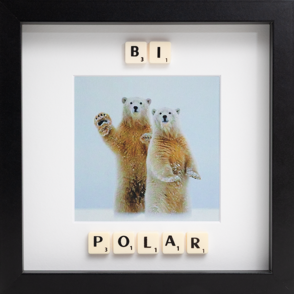 BI POLAR