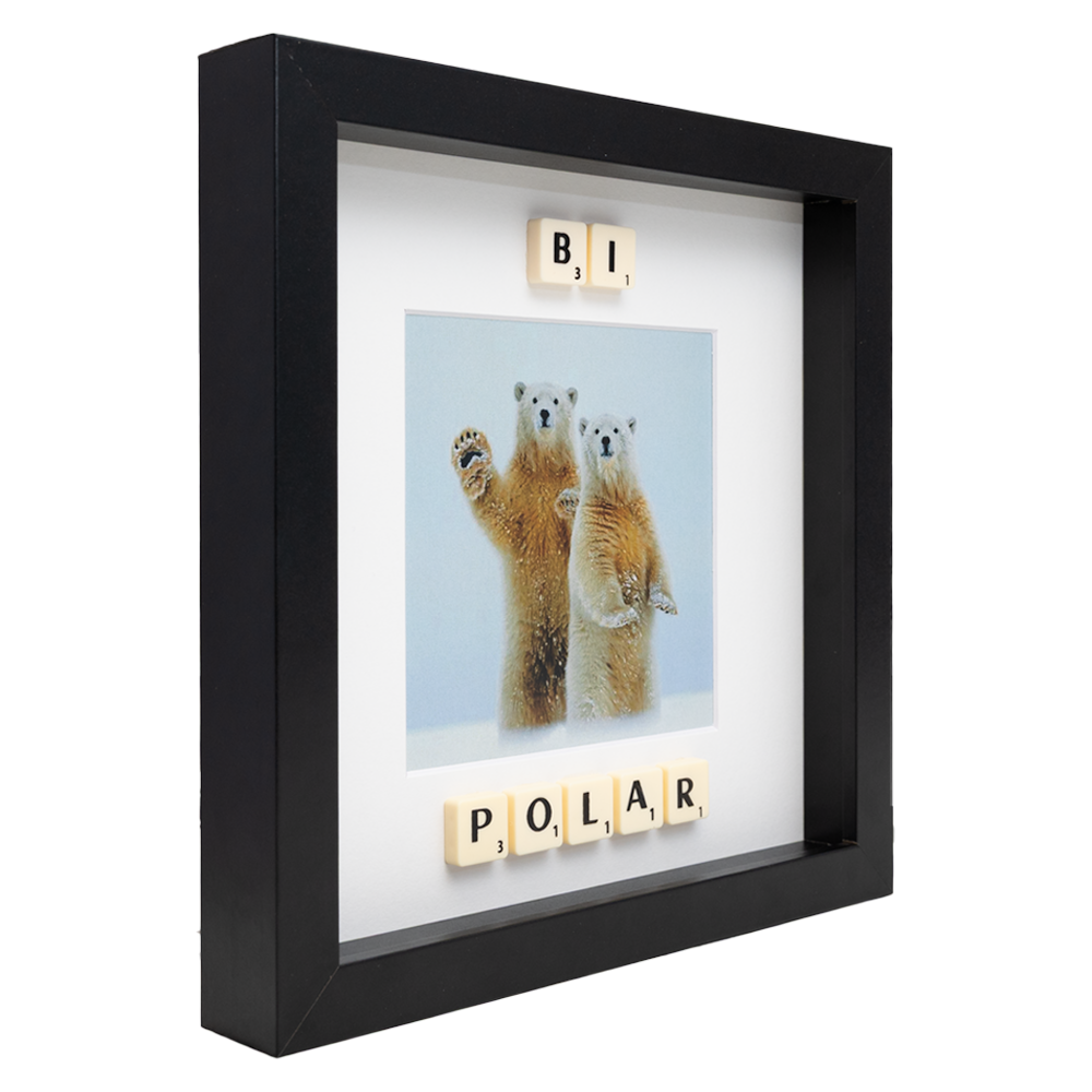 BI POLAR