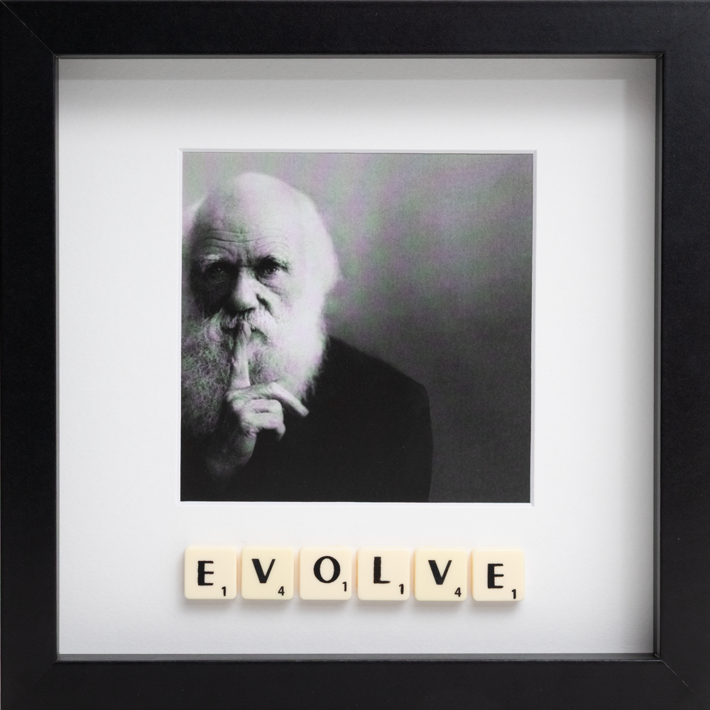 EVOLVE