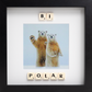 BI POLAR