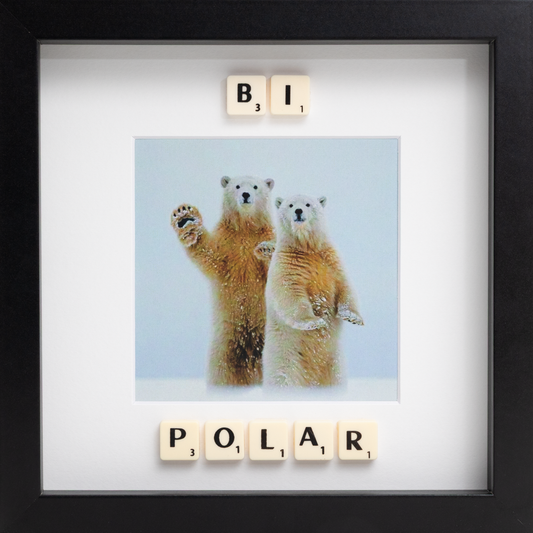 BI POLAR