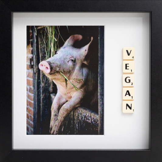 VEGAN